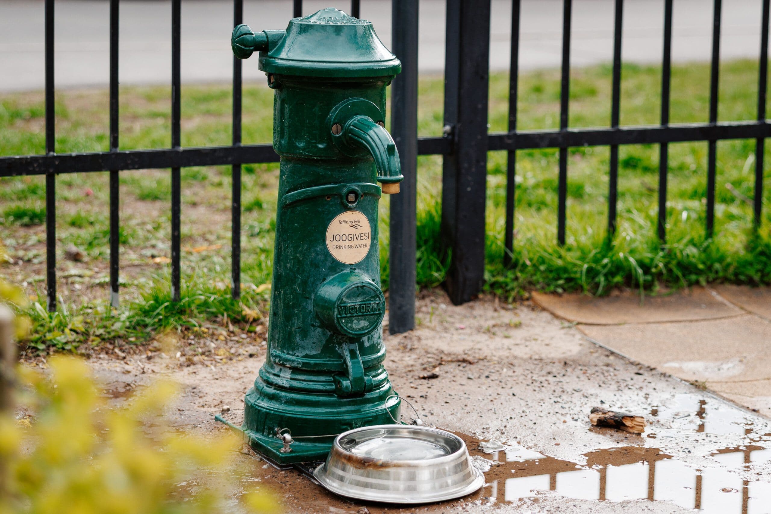 Tallinna Vesi доставит рекордное количество свежей питьевой воды на Праздник песни и танца