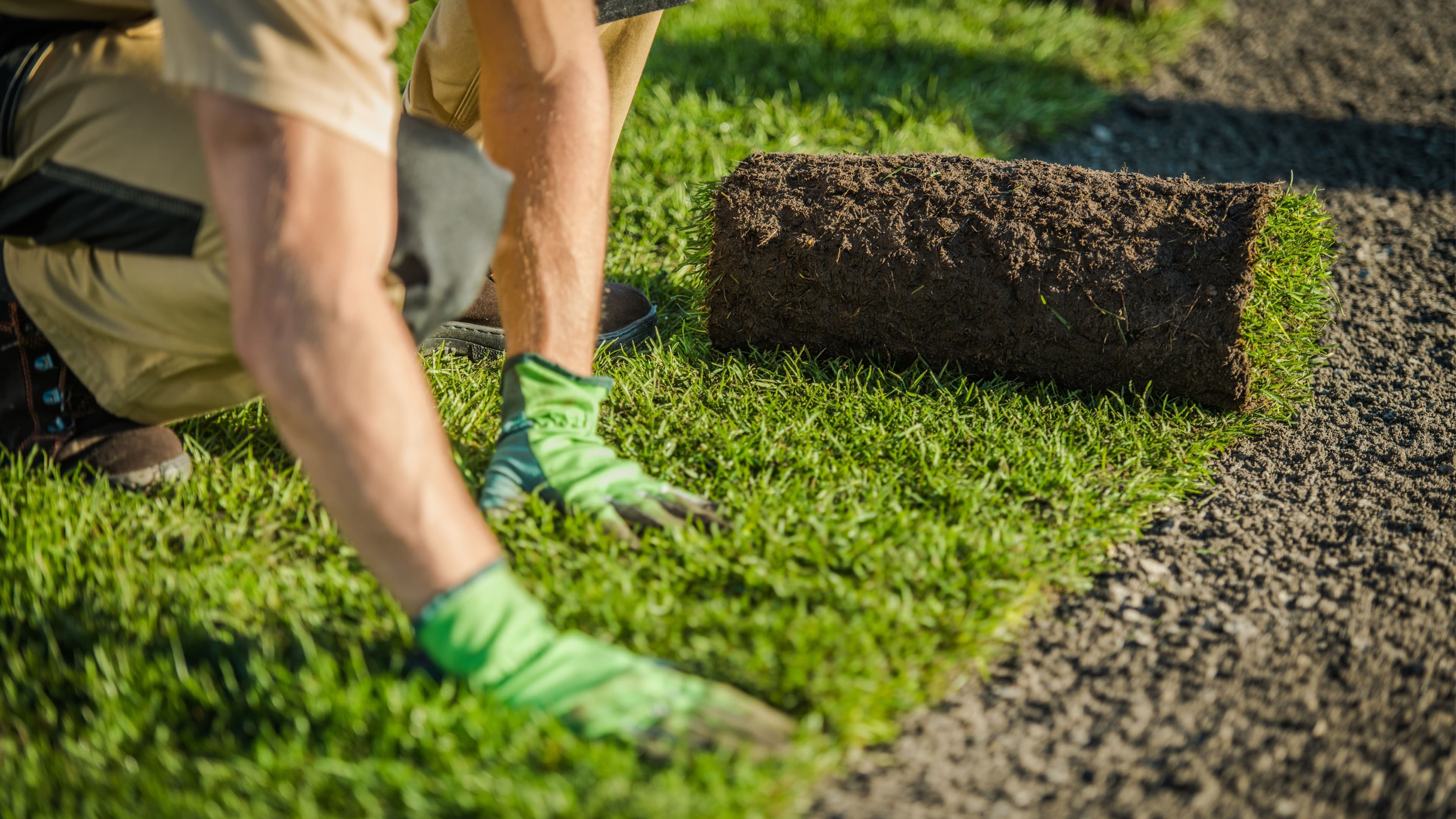 Close-up of landscaping work: a person is placing a roll of turf onto freshly prepared soil. The image shows green grass, a piece of turf with dark soil, and bright green work gloves. In the background, excavated ground is visible.