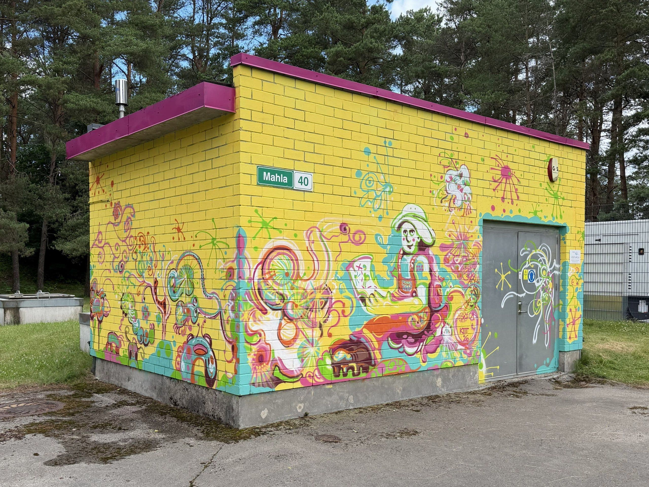 Mahla 40, "Elu vees enne puhastust", autor Ann-Liis Kitt